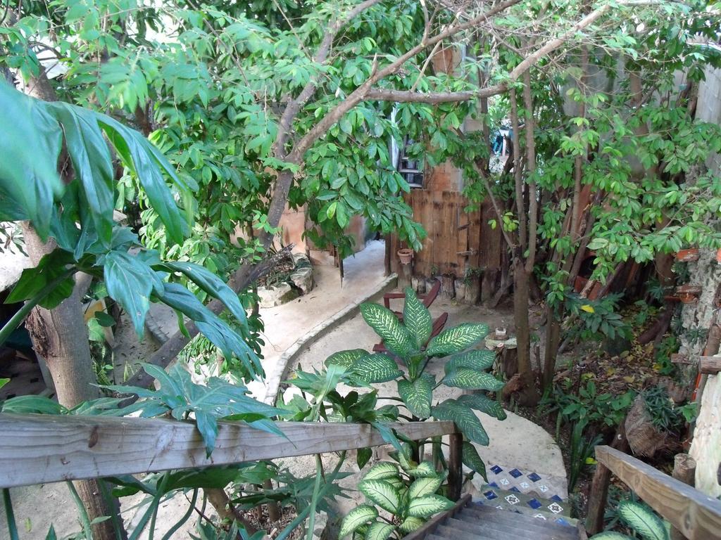 Casitas Kinsol 2*