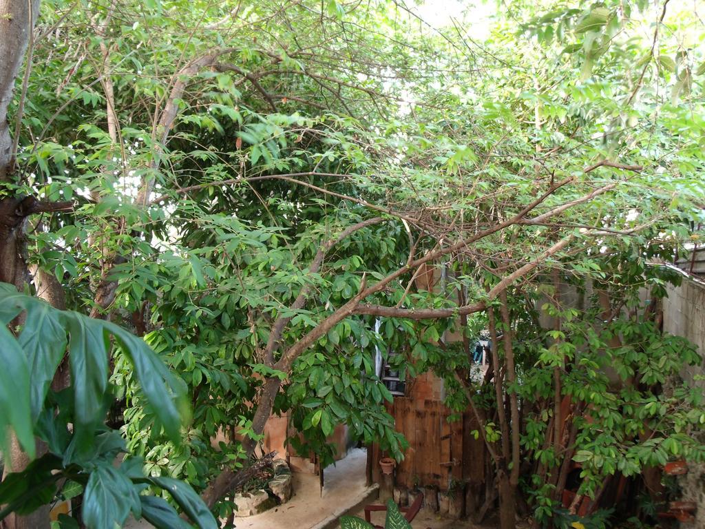 Casitas Kinsol