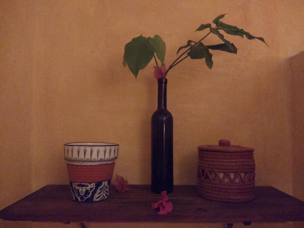 Casitas Kinsol 2*