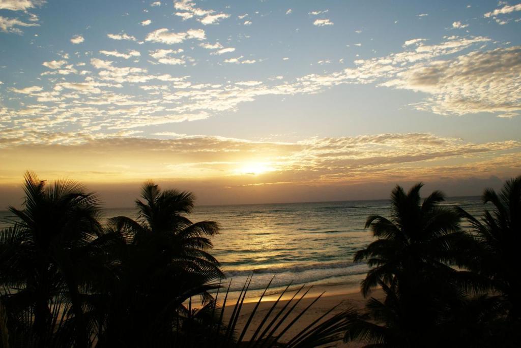 Amoreira Hotel Tulum