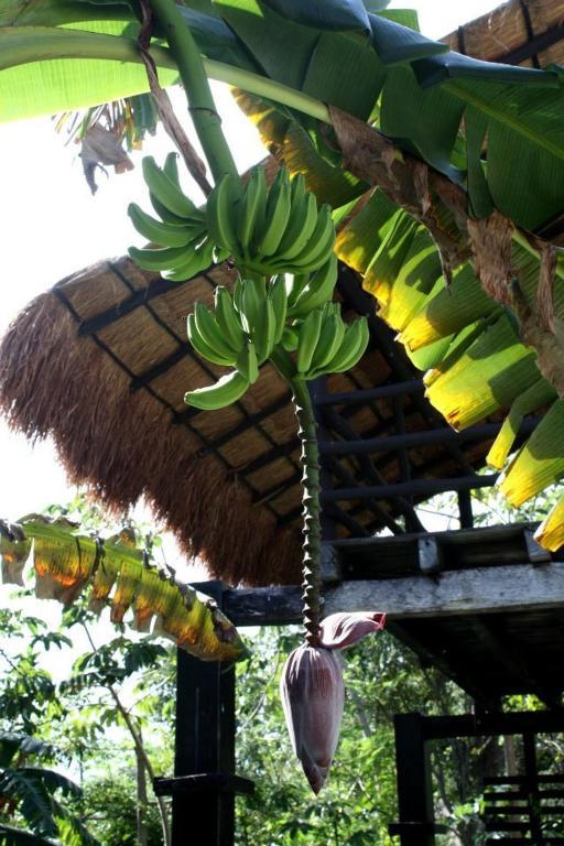 Apartamento Casa Di Luca Playa del Carmen