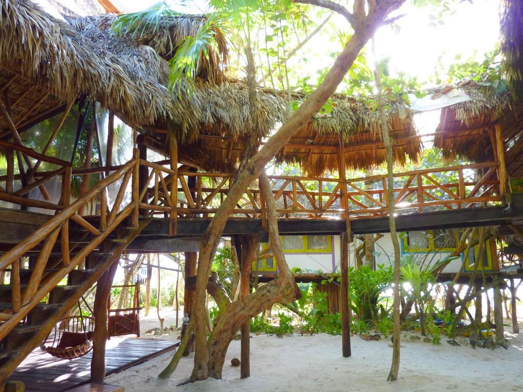 Amoreira Tulum