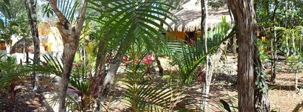 Casa Mango Acomodação com café da manhã 
