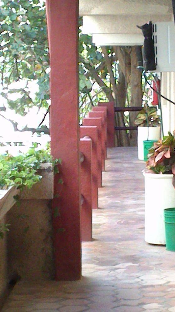 Safari Hotel
