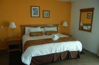 Elegancia Hotel 3*