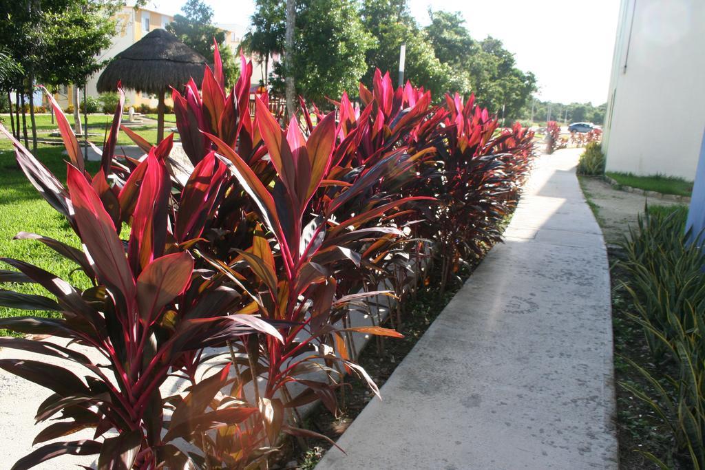 Paraiso Maya Puerto Morelos
