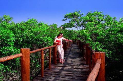 Grand Palladium Colonial Res. Hotel 5*