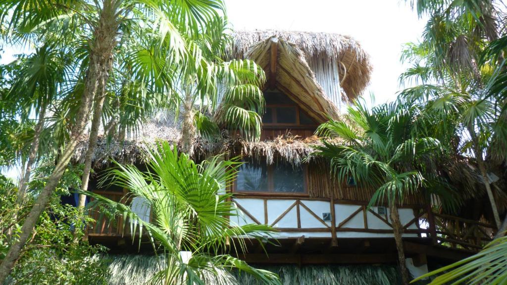 Hotel Amoreira 3*
