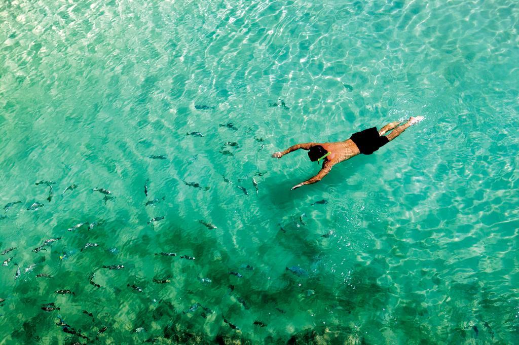 Occidental Cozumel