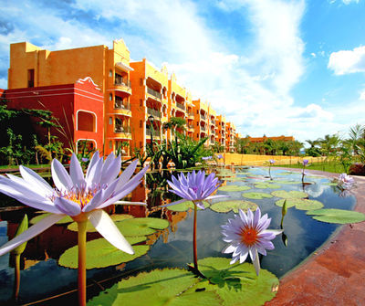 The Royal Haciendas