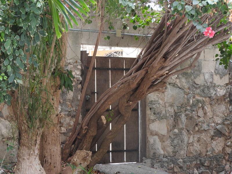 Casaejido Hotel Playa del Carmen