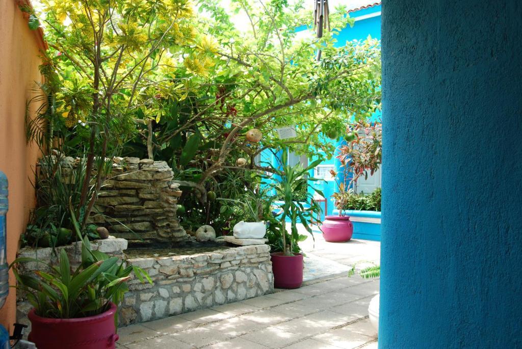 Anclas Hotel Cozumel