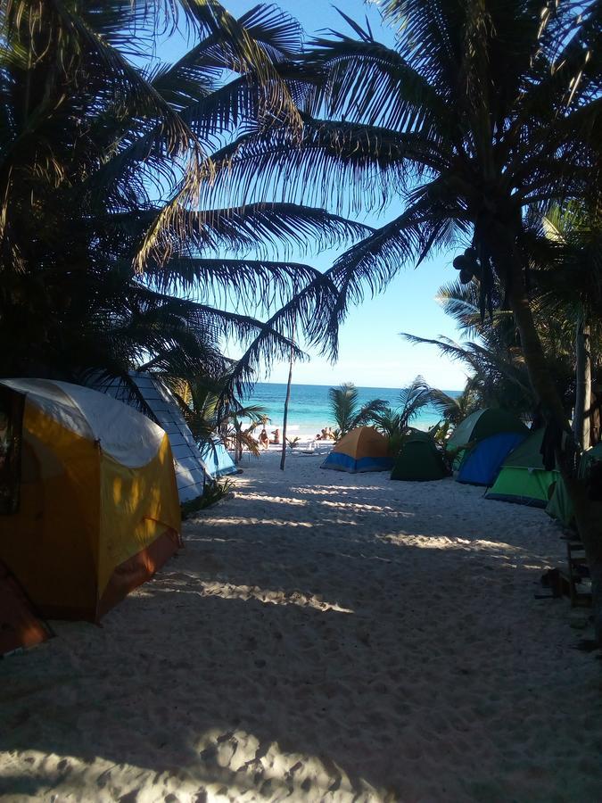 Acampamento Chavez Eco And *