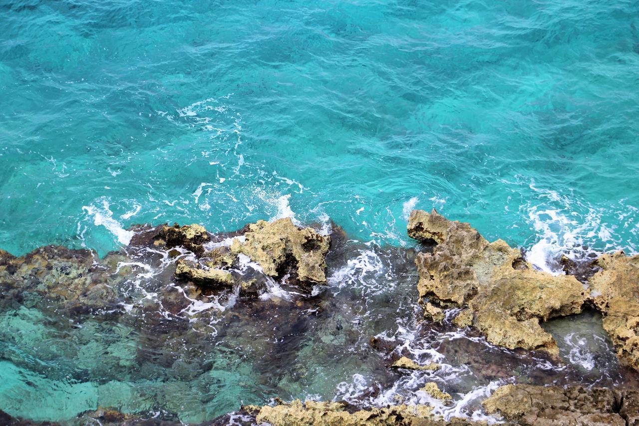 Coral Princess & Dive 4*