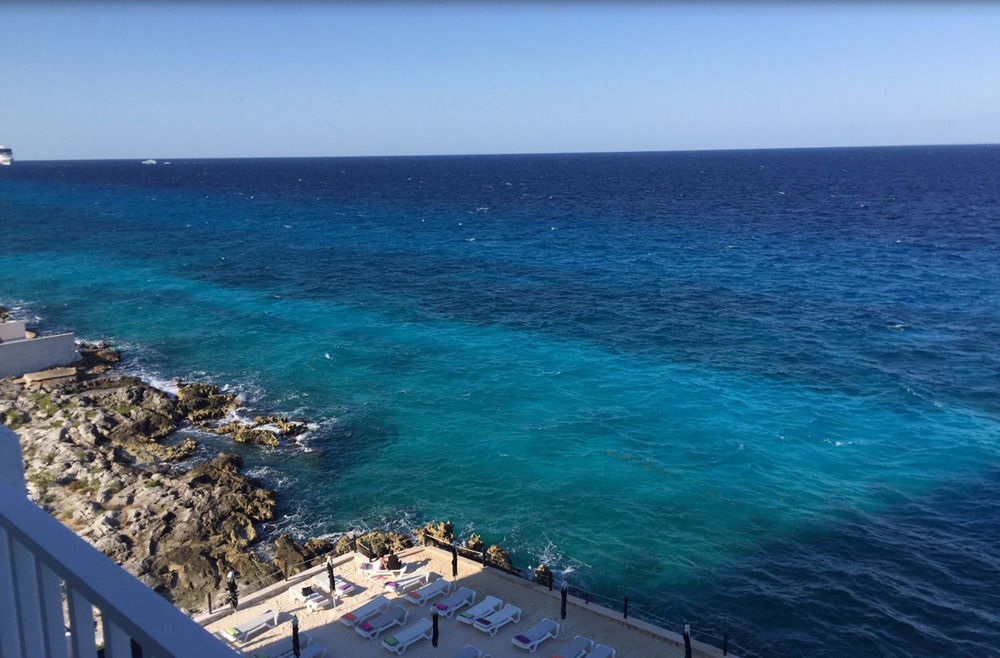 Coral Princess & Dive Cozumel