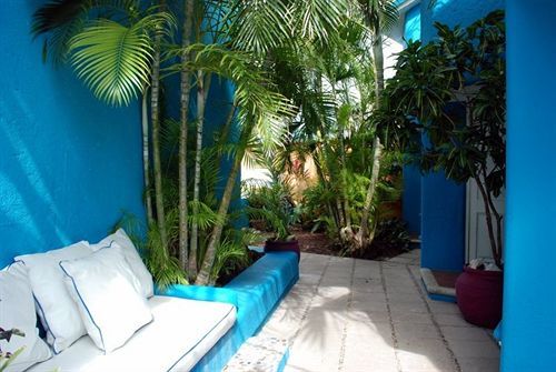 Anclas 3* Cozumel