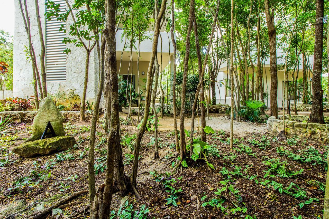 El Vivero Tulum