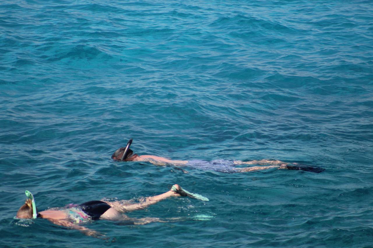 Hotel Coral Princess & Dive 4*