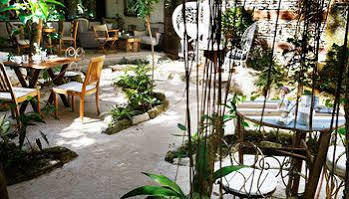 La Semilla Hotel Playa del Carmen
