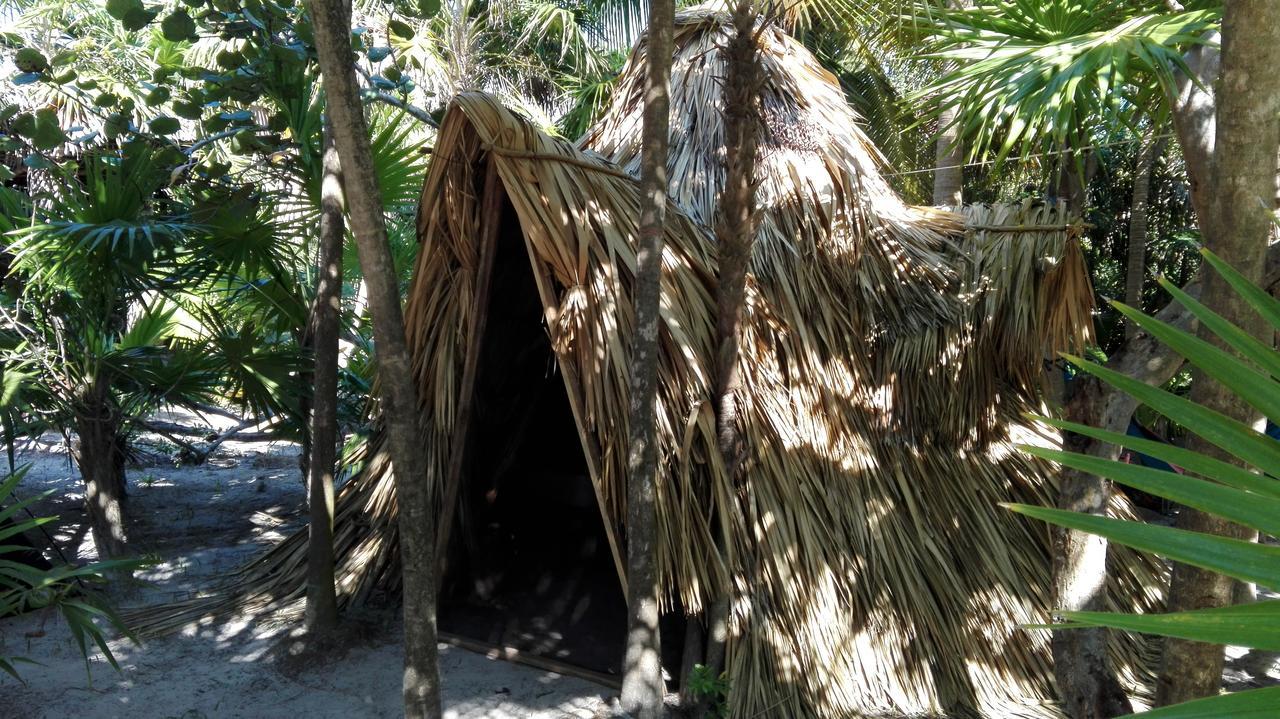 Lodge Revolucion Pancho *