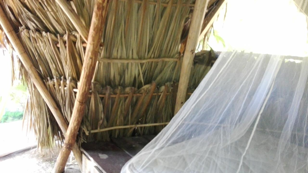 Revolucion Pancho Tulum