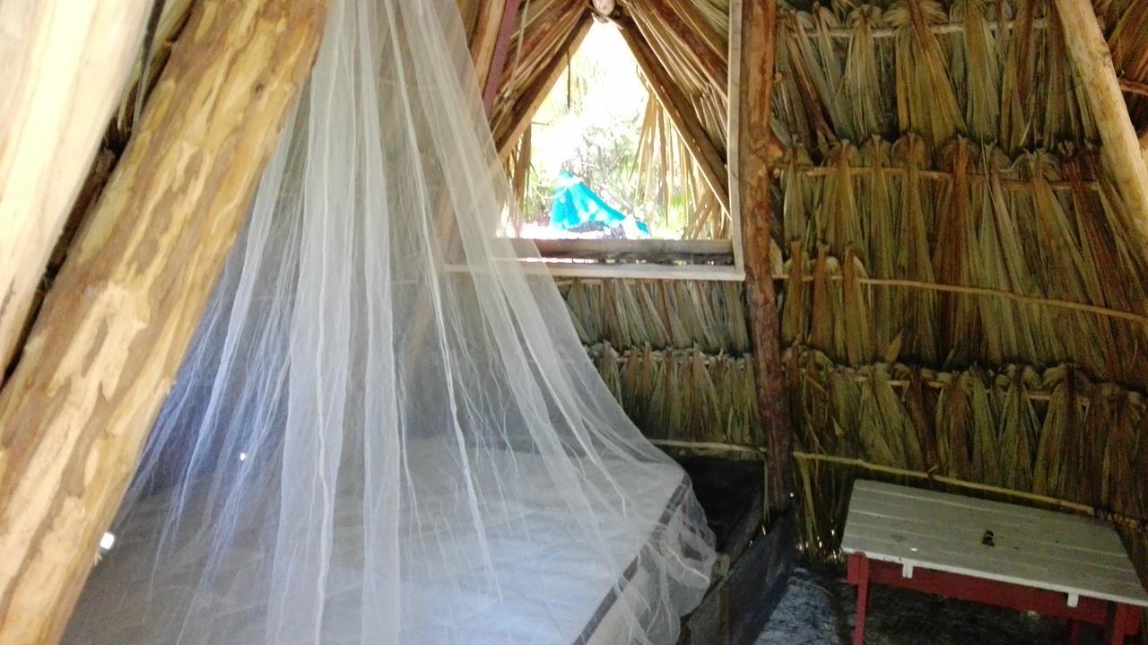 Lodge Revolucion Pancho Tulum