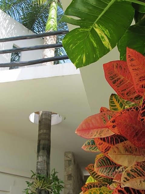Casa Di Luca Apartamento Playa del Carmen
