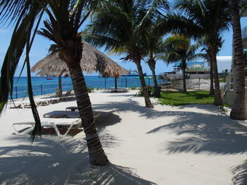 El Cantil Cozumel