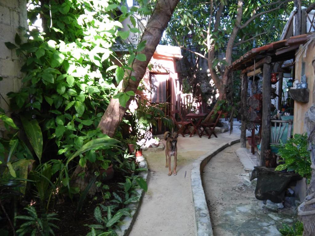 Casitas Kinsol Hotel