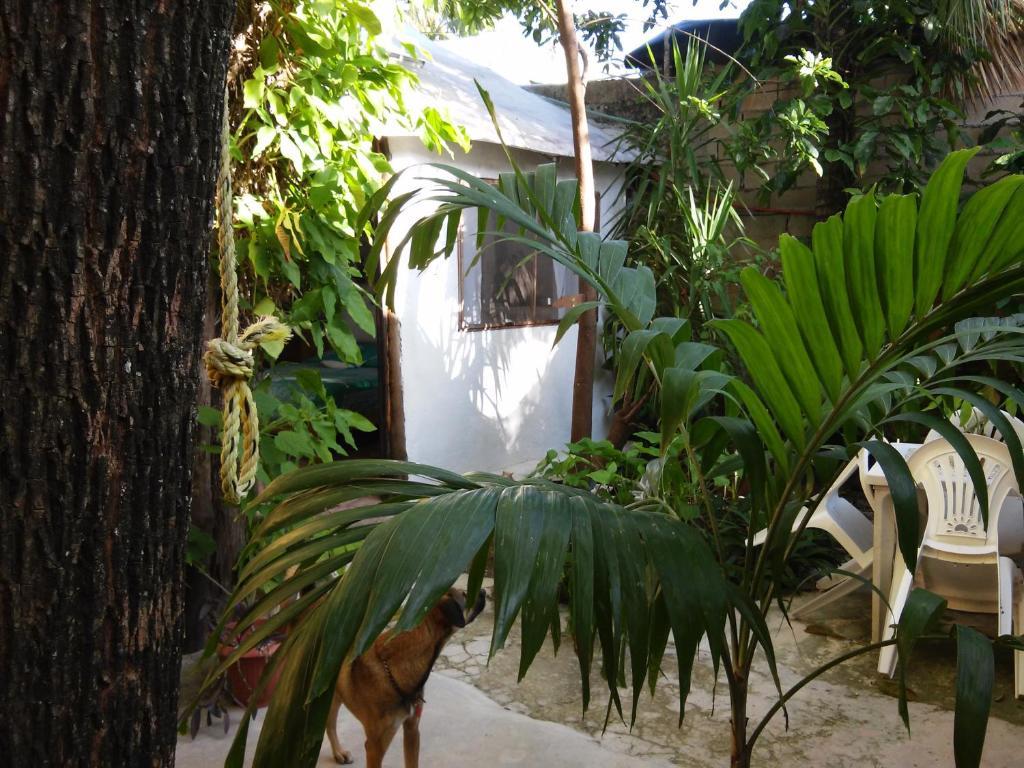 Casitas Kinsol 2*