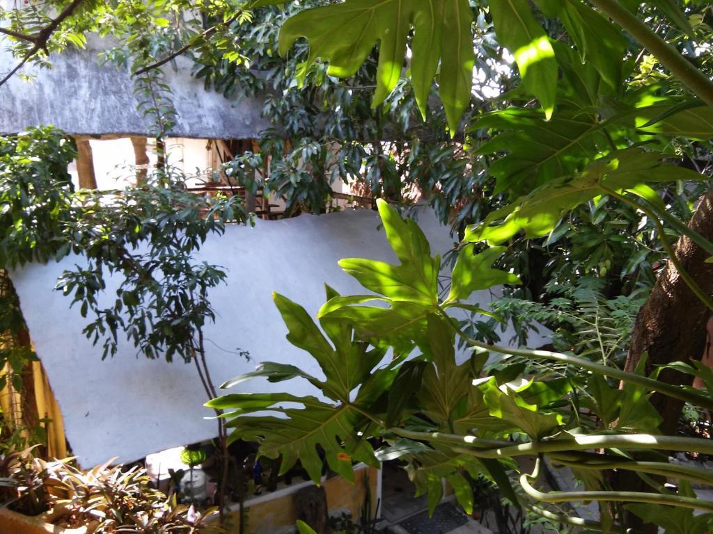 Casitas Kinsol Hotel Puerto Morelos