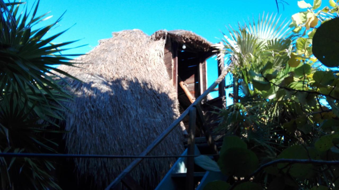 Lodge Revolucion Pancho