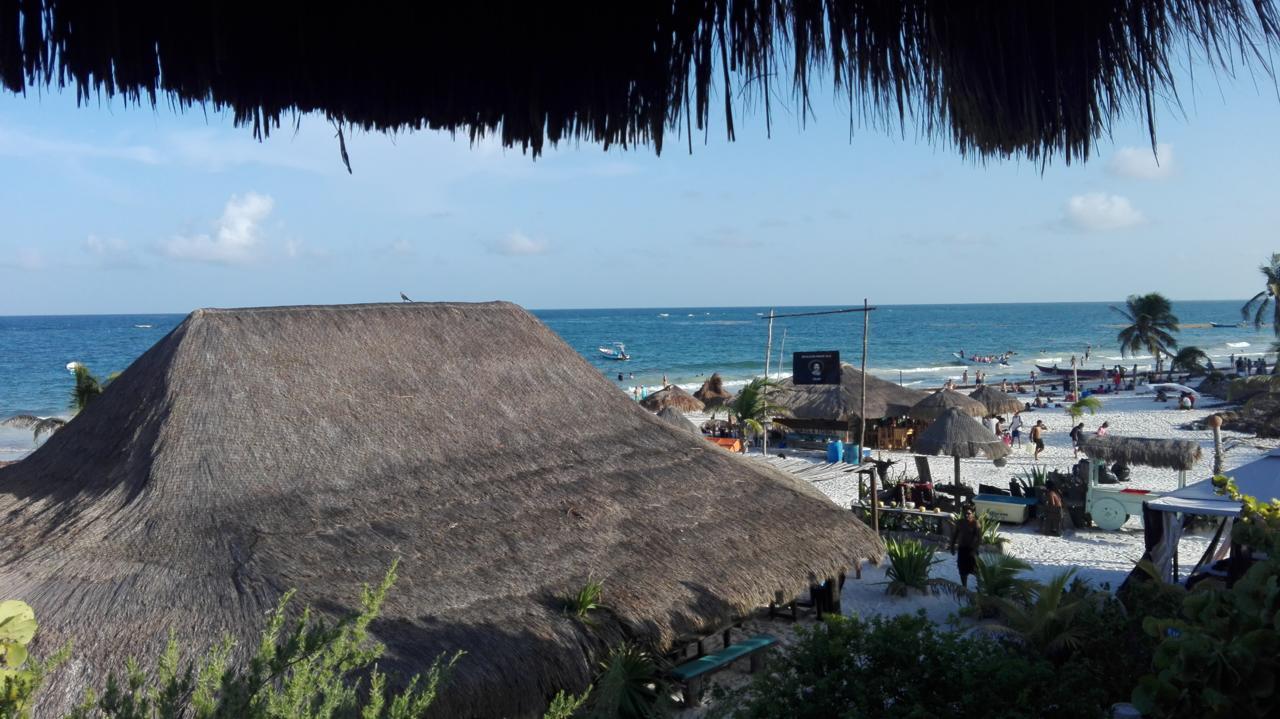 Lodge Revolucion Pancho *