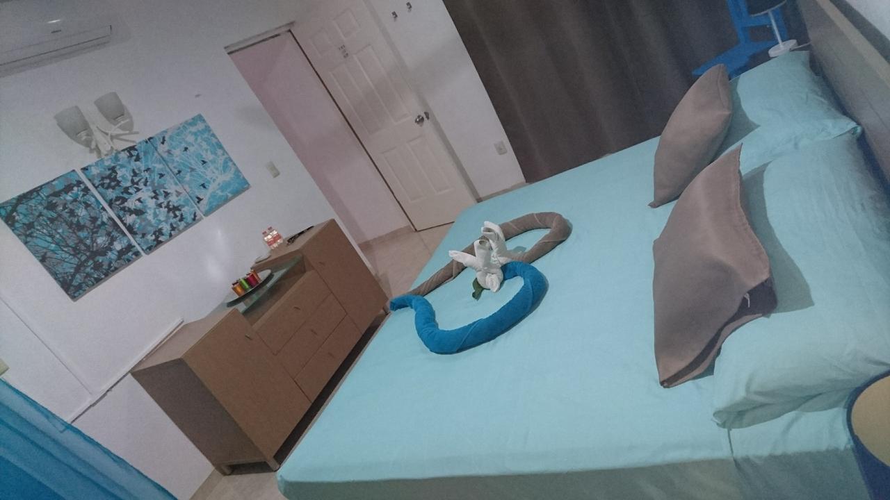 Playa Centro Guest house *