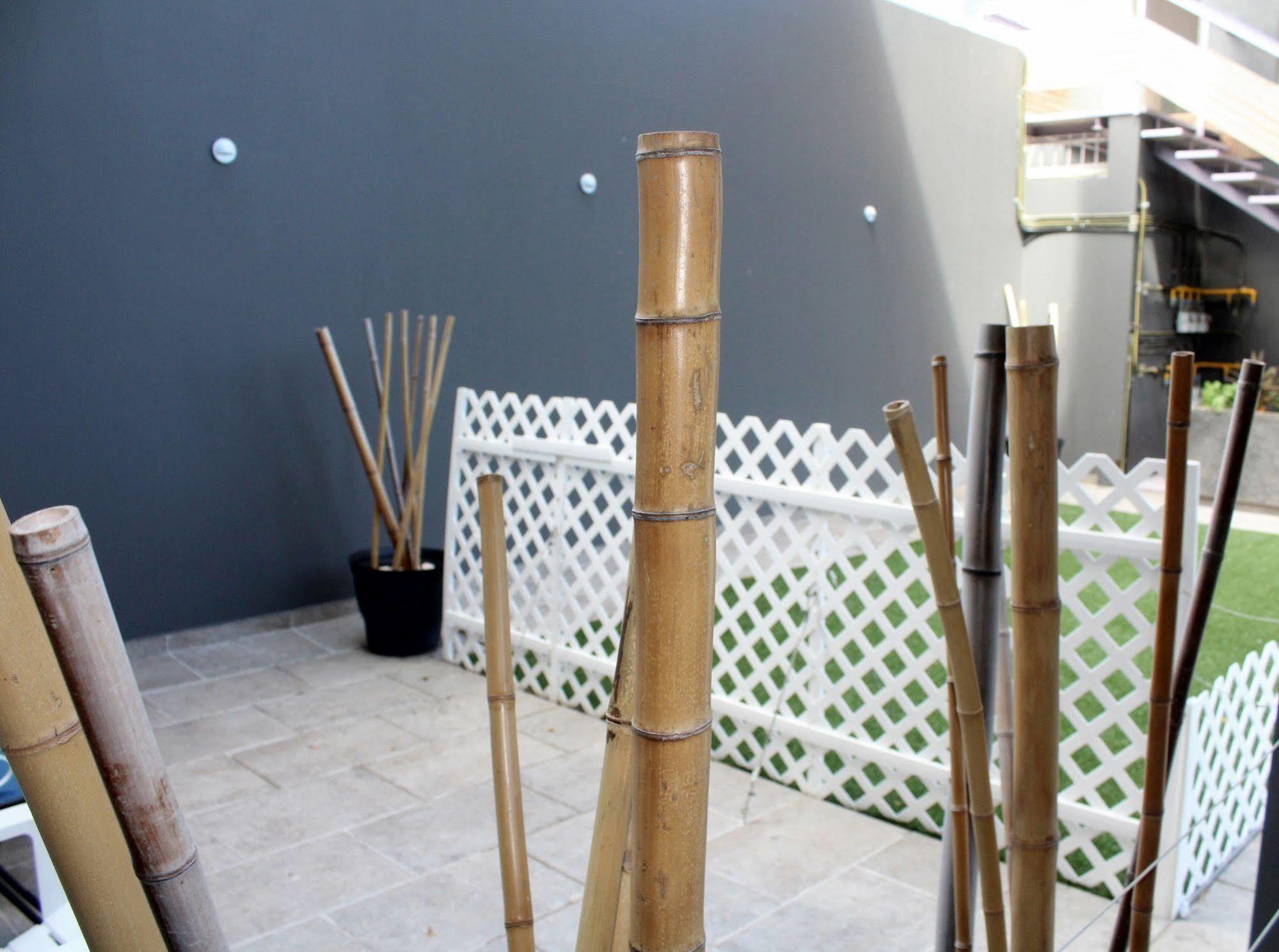 Iris & Apartamento Playa del Carmen