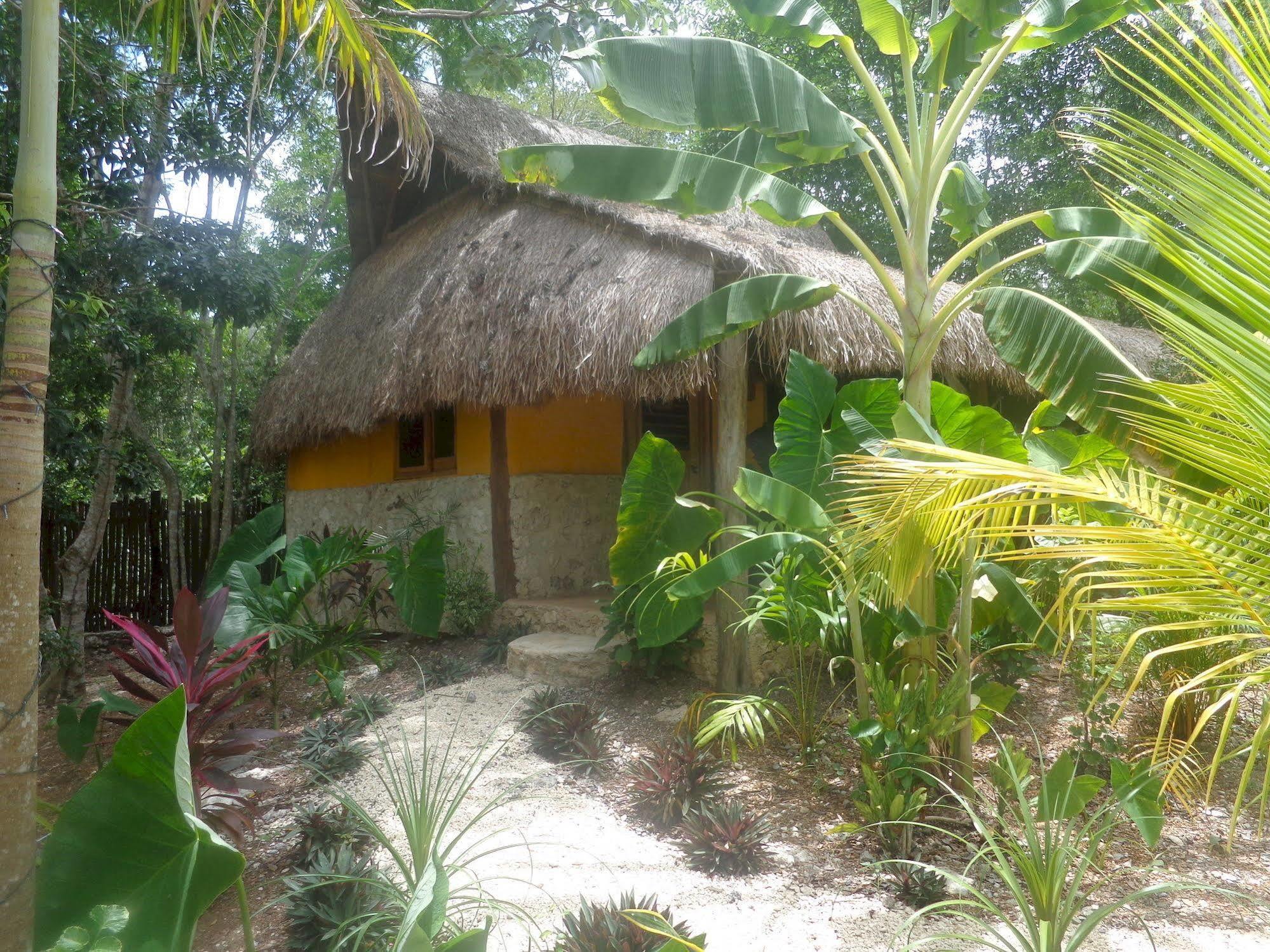 Casa Mango Acomodação com café da manhã  2*