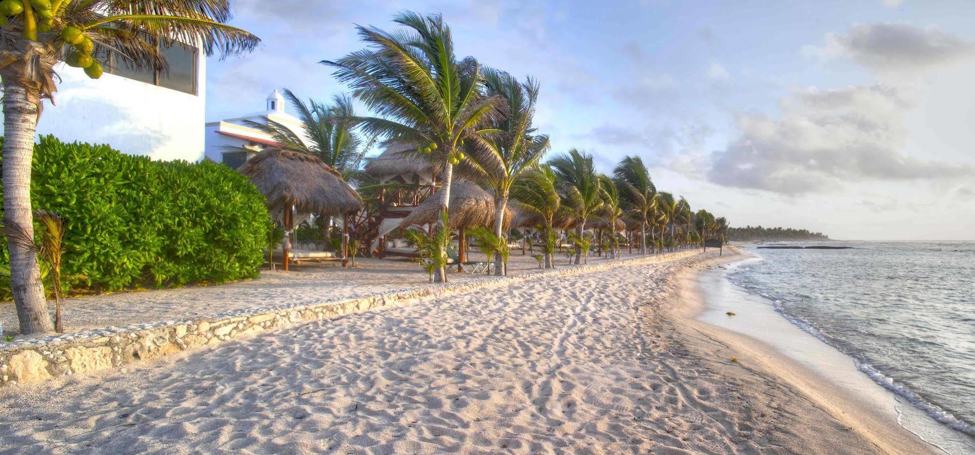 Resort Hidden Au Naturel Adults Only Catamaran, Cenote & Inclusive