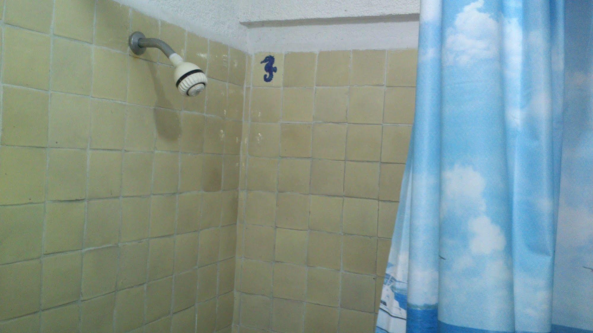 Safari Hotel 2*