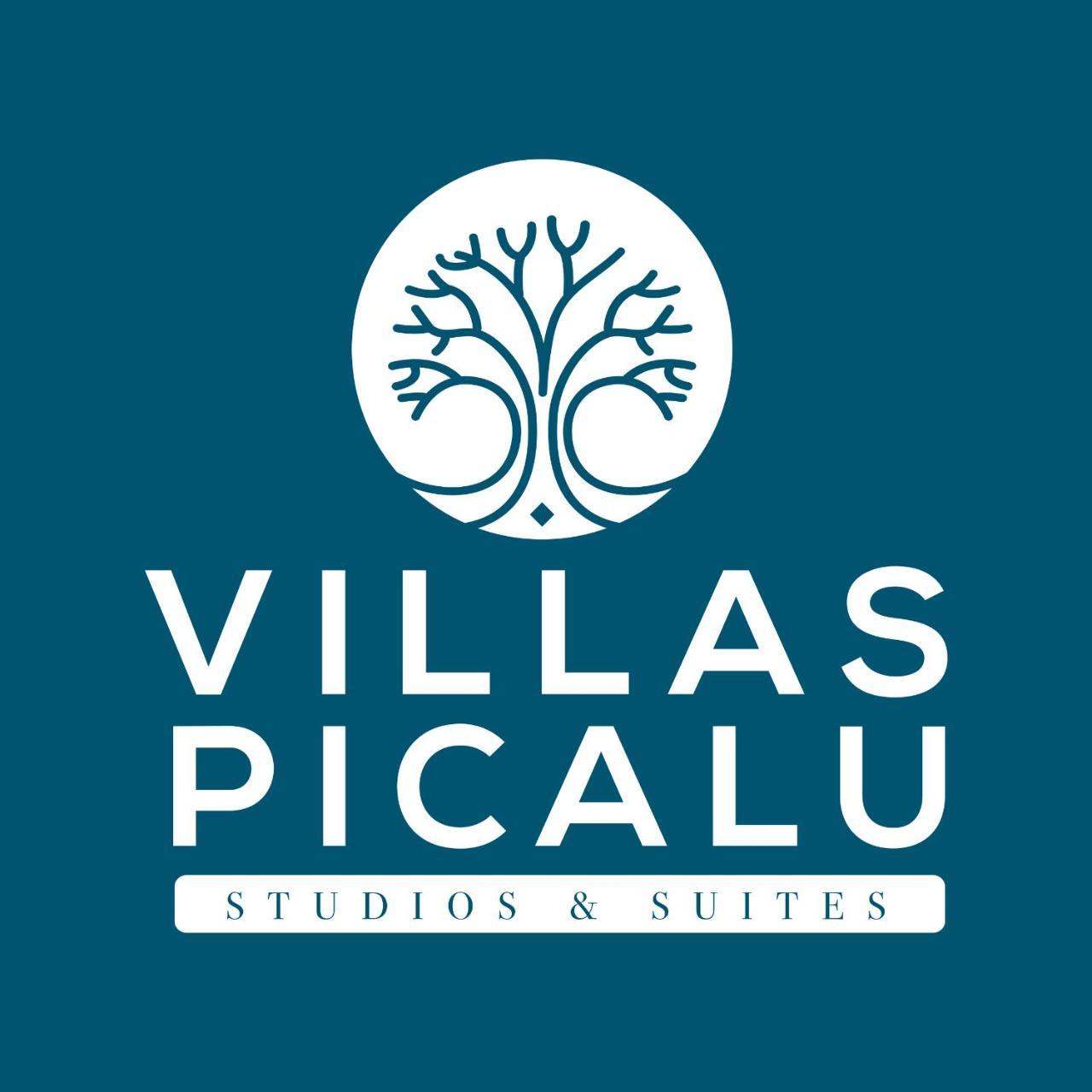 Apartment Picalu &