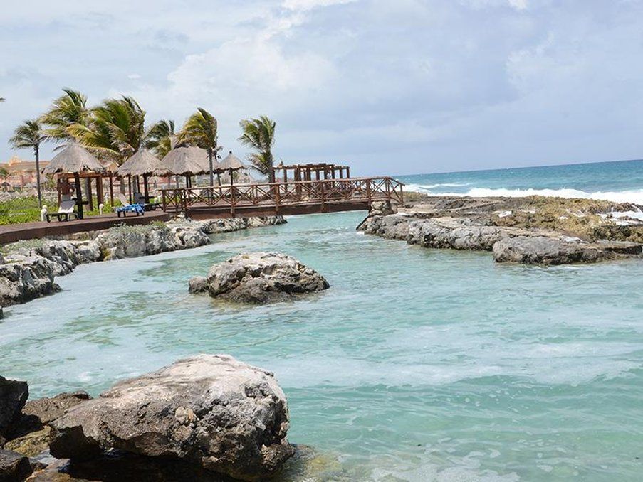 Coral Maya