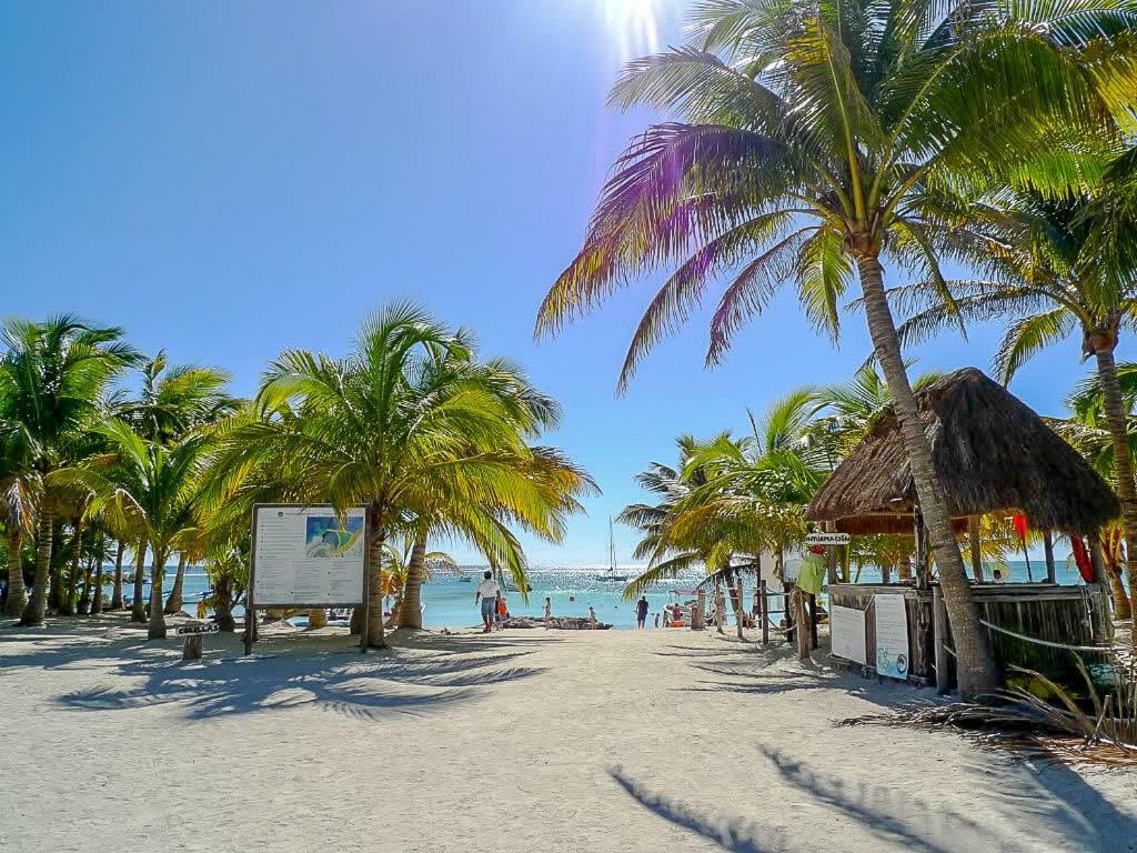 Apartment In Gated Residential Within Bahia Principe Grounds