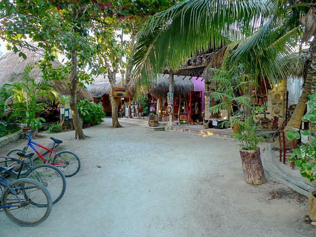Apartment Exclusive 1 Bedroom Loft With Pool Facilites, High-Speed Internet And Free Parking In Akumal *