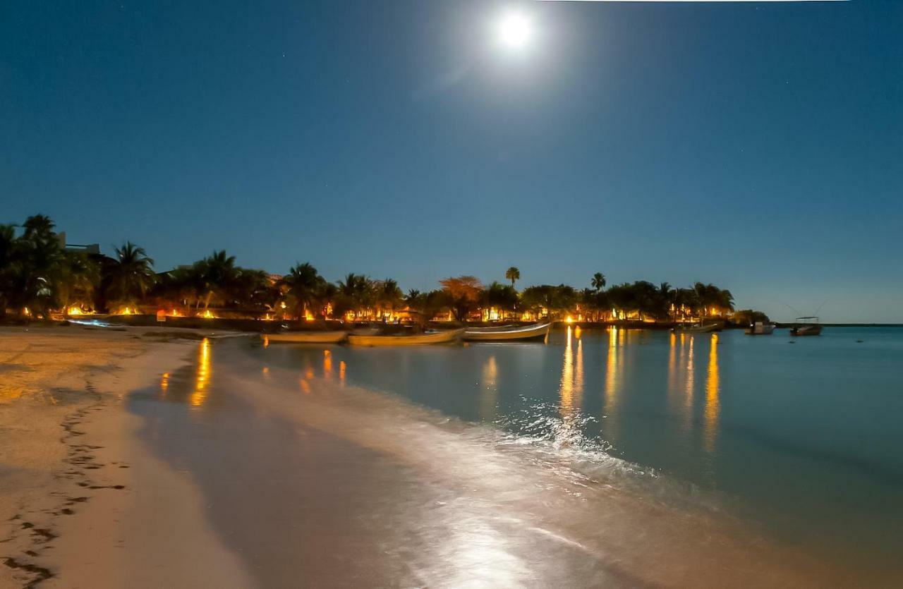 Exclusive 1 Bedroom Loft With Pool Facilites, High-Speed Internet And Free Parking In Akumal * Akumal