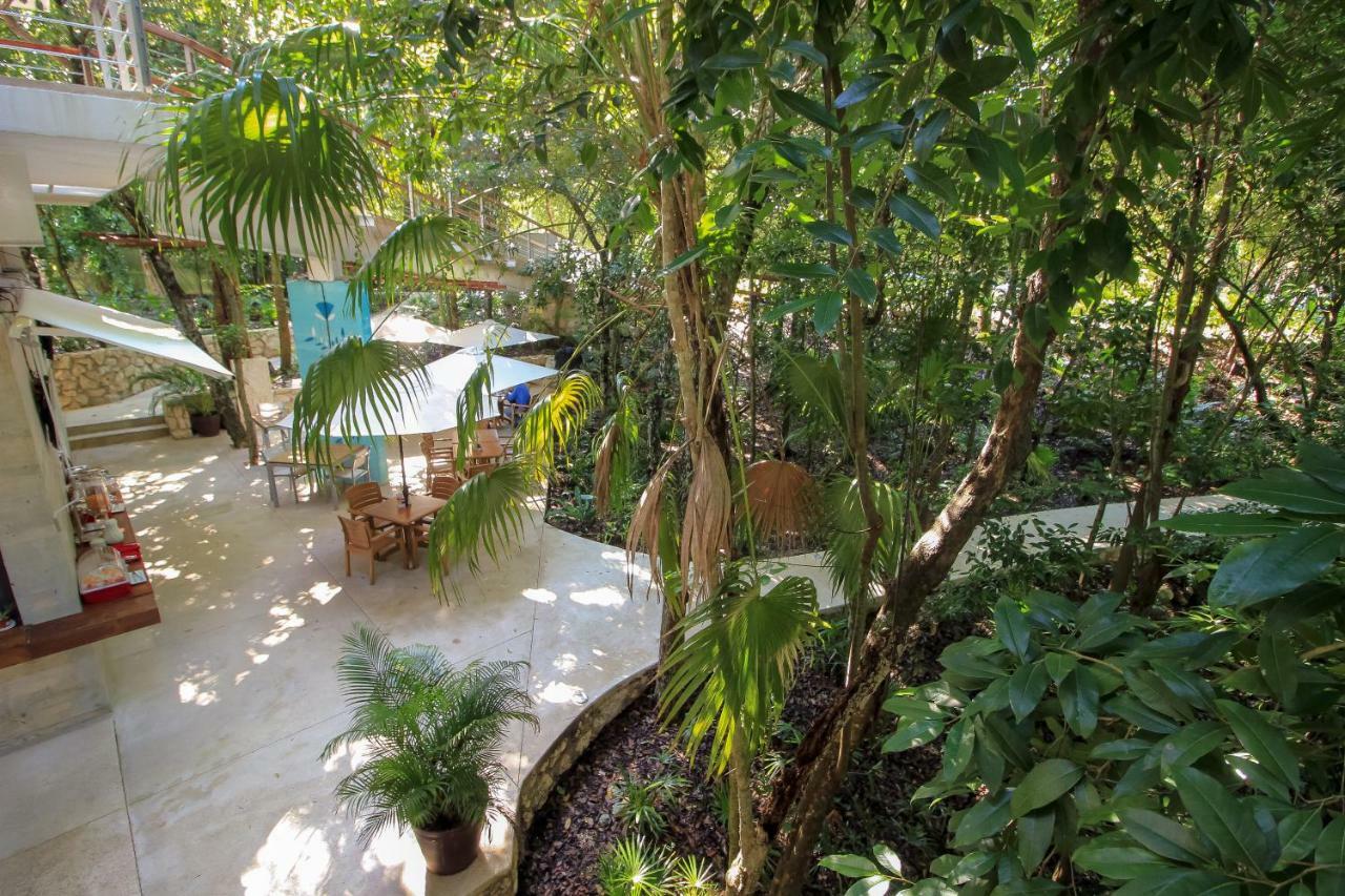 Exclusive 1 Bedroom Loft With Pool Facilites, High-Speed Internet And Free Parking In Akumal