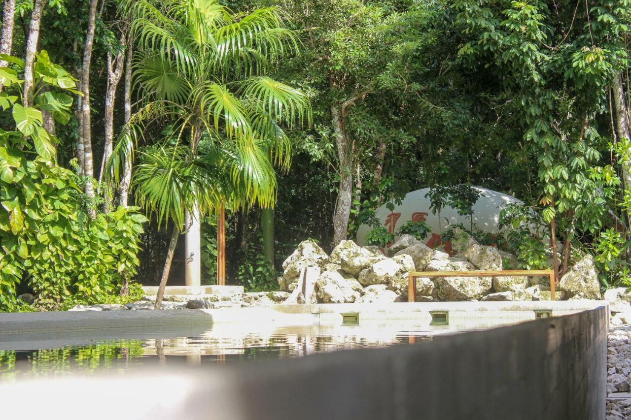 Exclusive 1 Bedroom Loft With Pool Facilites, High-Speed Internet And Free Parking In Akumal Akumal