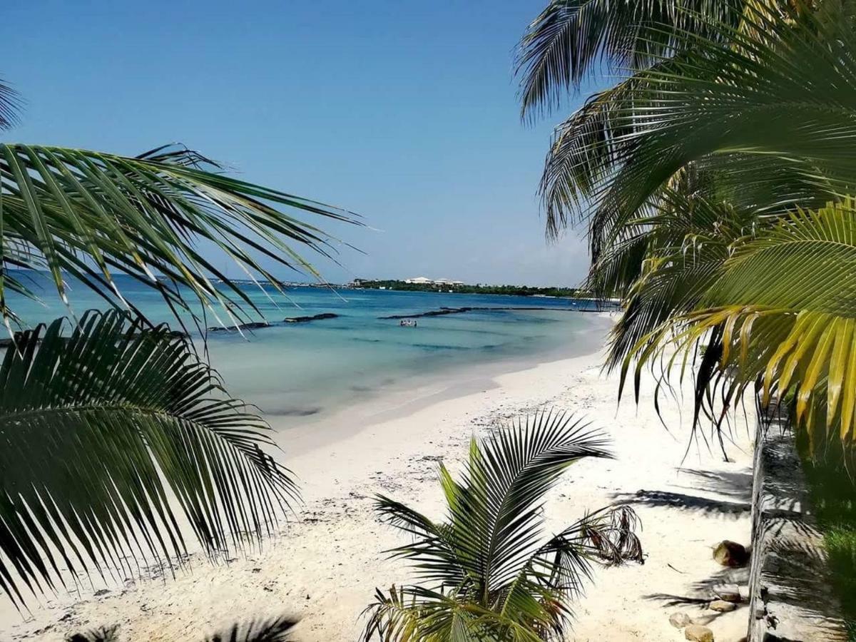 Picalu & Apartment Puerto Aventuras