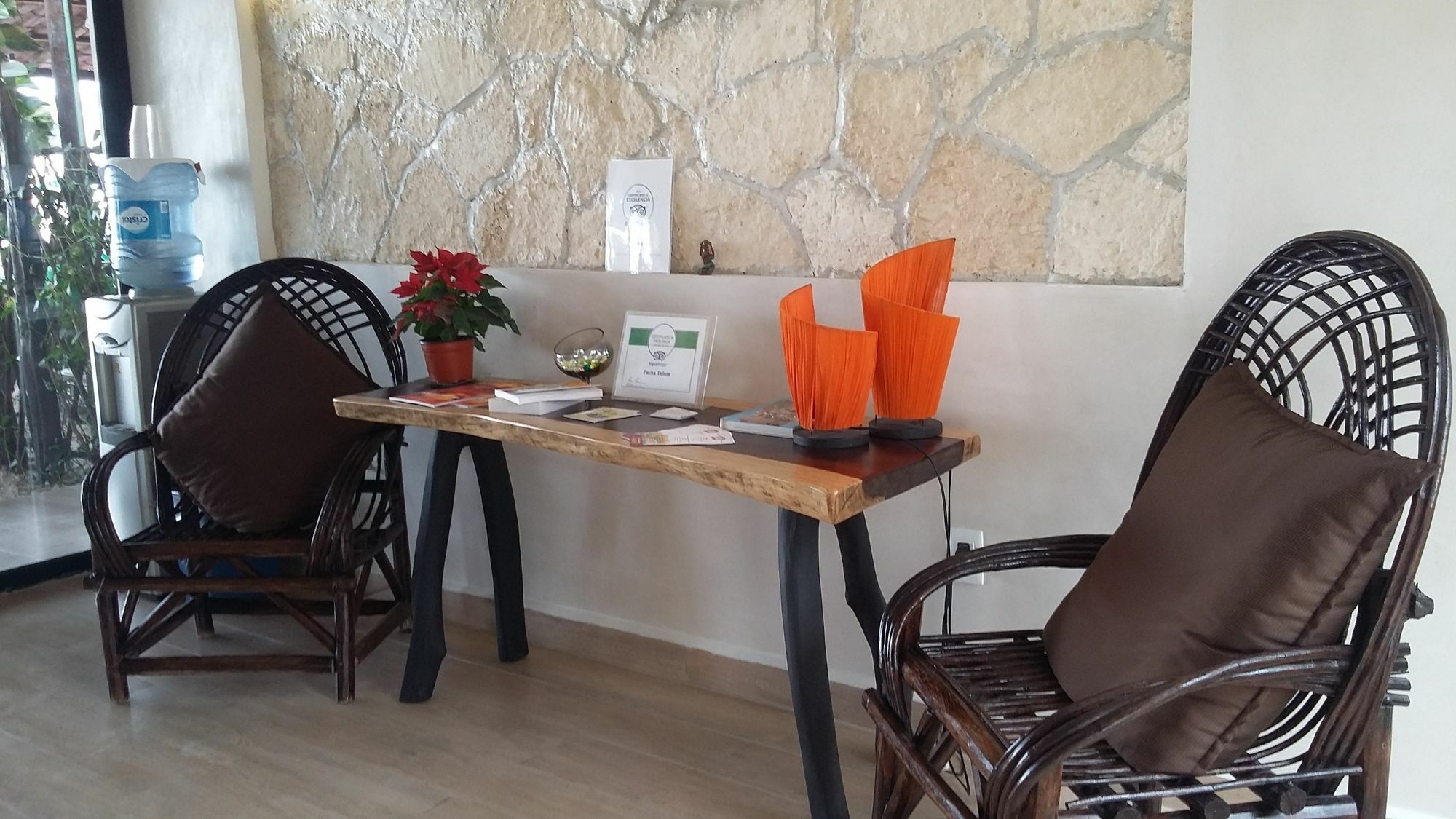 Hotel Pacha Boutique 4*