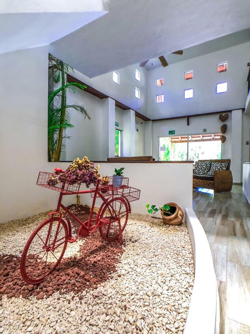 Picalu & Apartment