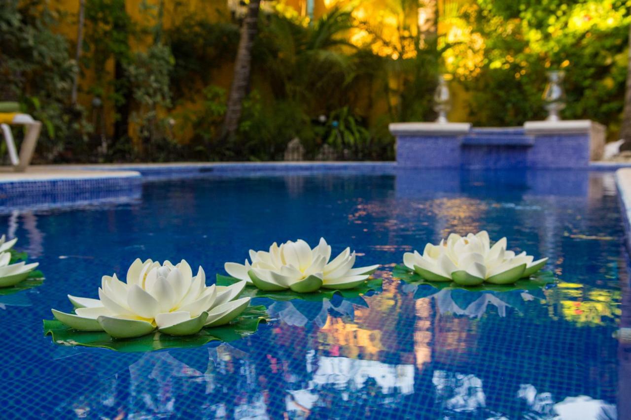 Hacienda Boutique B&b&spa Solo Adultos Cozumel