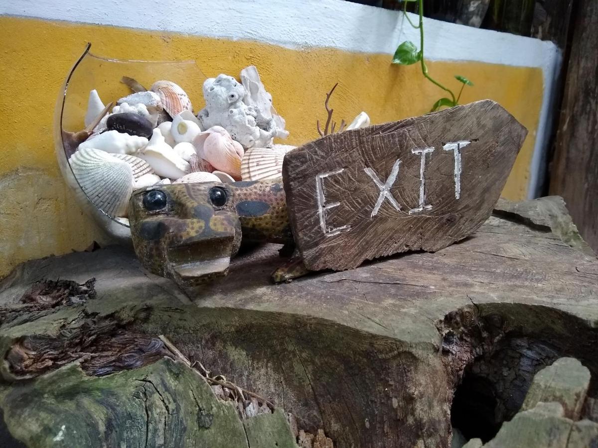 Casitas Kinsol 2*